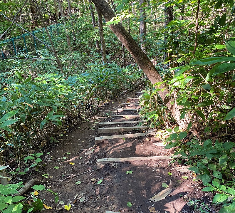 cafeスロープへの山道